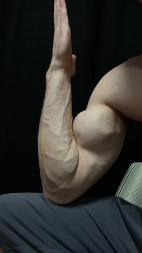 Showcasing Muscular Arms: Definition and Vascularity