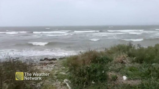 Winds pick up in Nova Scotia amid post-tropical storm Teddy