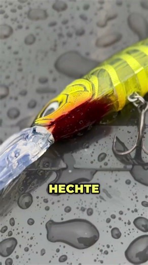 Why I only take a small box for pike, zander and perch