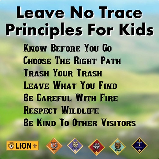Leave No Trace Principles For Kids — ScouterLife