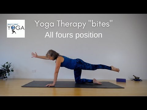Yoga Therapy "bites" - all fours position