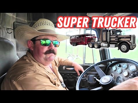 The Ultimate Beef: Hauling Cattle with Peterbilt