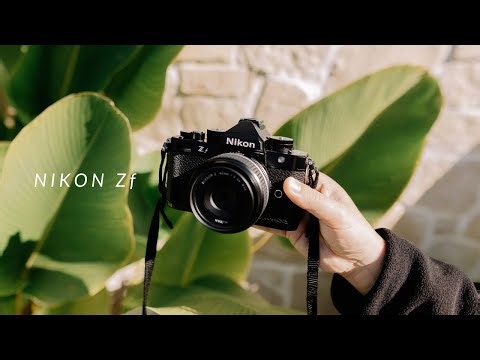 NIKON Zf with 40mm F2 Portraits