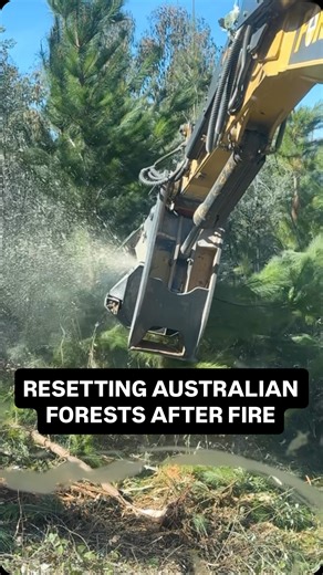 NEW FULL-LENGTH VIDEO! — What does it take to restore entire Australian forests following devastating bushfires? We revisited @forestrack_trent to see every aspect of the process, from raking to chain clearing! — Watch now by searching “Aaron Witt” on YouTube! | Aaron Witt