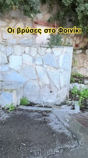 ΑΠΙΣΤΕΥΟΙ ΓΑΛΗΝΙΟΙ ΦΥΣΙΚΟΙ ΗΧΟΙ ΣΤΟ ΦΟΙΝΙΚΙ ΛΑΚΩΝΙΑΣ