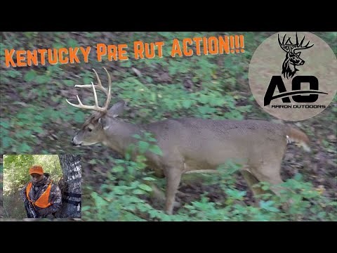 Kentucky Deer Hunting in October 2021 | Pre Rut Action!! Bucks are on the Move!!