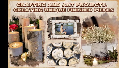 Birch Logs Set 6 Pcs Fire Wood Gas Fireplace Logs for Fireplace Decor/Crafts/Wood Décor(2Varied Size)