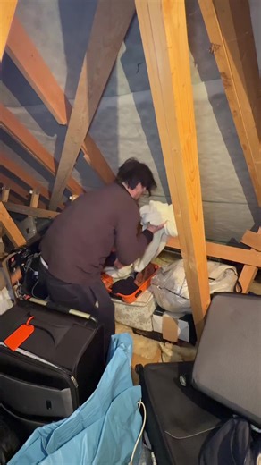 Organizing My Loft: A Journey to Cleanliness