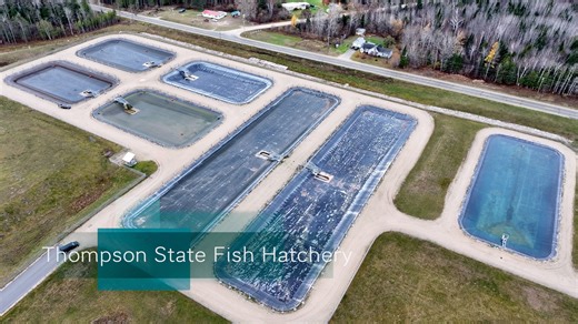 2.2K views · 34 reactions | Thompson State Fish Hatchery -...