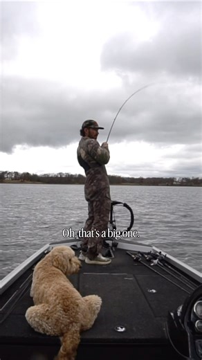 Swimbait and topwater mayhem. Now live. #bassfishing