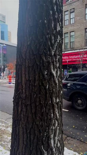 zoom canada 🇨🇦 on Instagram