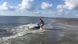 80 reactions · 57 shares | “He just decided he would stick his hand...