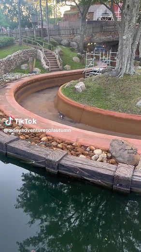 Disney Cats Enjoying the Parks While Splash Mountain is Rethemed