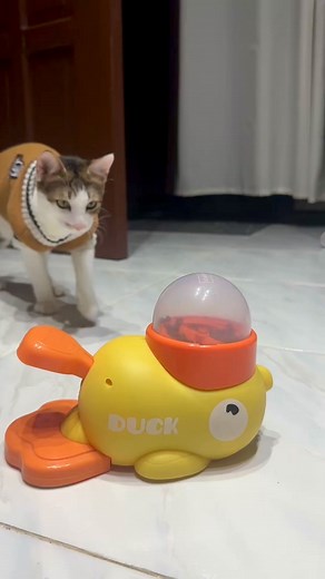 1.6M views · 64K reactions | parang robot lang ang tinuturuan e 若藍 | Meowmy | Facebook