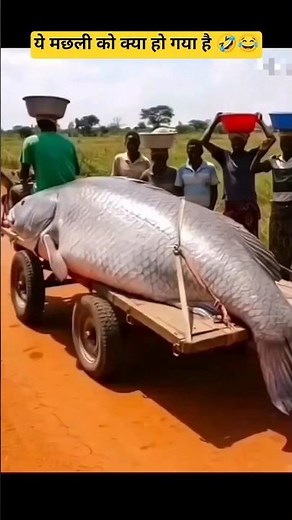 #lyricsvideo - YouTube