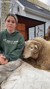 9.6K views · 129 reactions | Introducing our three newest emergency...