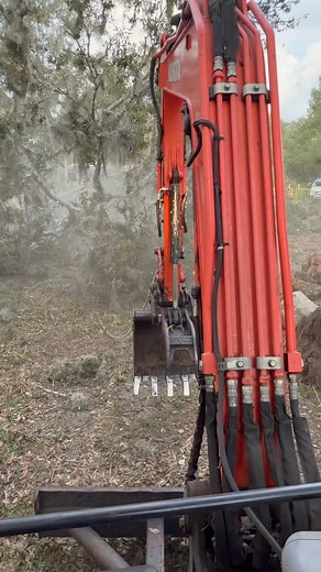 Rojas Tree Service | Rojas Tree Service | Facebook