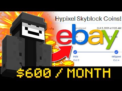 Meet The Hypixel Coins Seller Making $600 a Month
