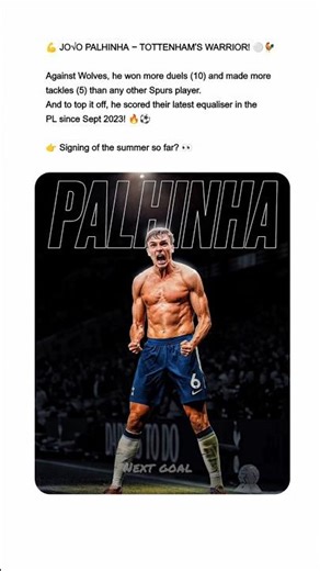 Palhinha Saves Spurs vs Wolves! 🔥💀