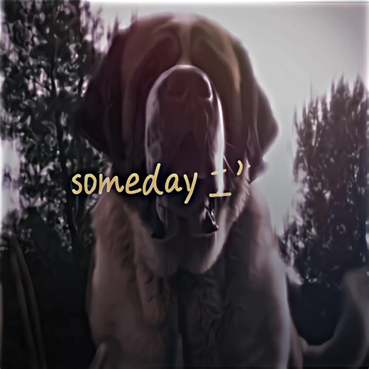 hi #cujo #overtherainbow #edit #movie | cujo