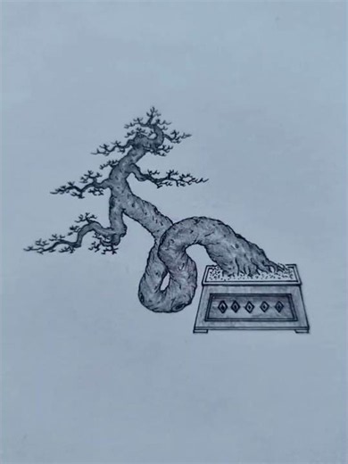 Hand-drawn bonsai style demo P3 #bonsai #ornamentalplants #thanglebonsai