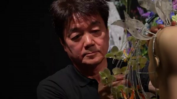 World Cup Floral Art 2025 - DAY 3 Part 1