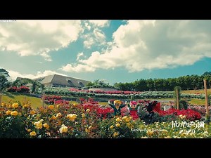 かのやばら園プロモーションビデオ（2020コロナに負けるなバージョン）