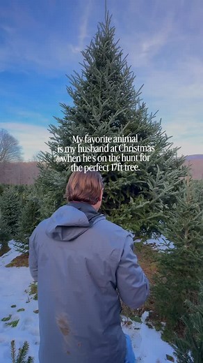 Nobody loves Christmas like my husband does! Back in 2019, we added onto our home—converting our garage and bonus room into a new family room—just so we could fit a 15–17 ft Christmas tree! We’ve been going to @elkriverevergreens for the last several years to pick out our tree, and it’s become one of our favorite traditions. comment TREE for a link to our tree stand made specifically for large trees and my other Christmas Favs | Sara Elizabeth Collective