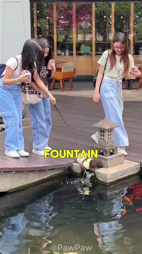 Babysitting a Cute Otter… BIG Mistake 😂Hashtags: #cuteanimals #otter #funnypets