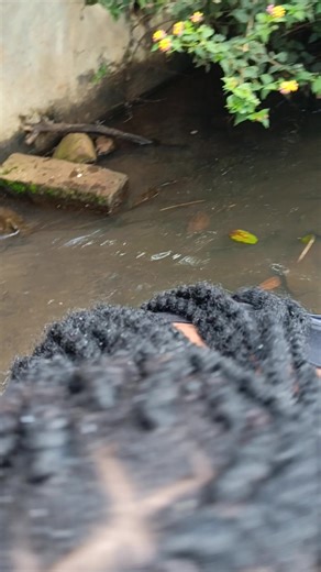 Nature Walk in the Same Spot