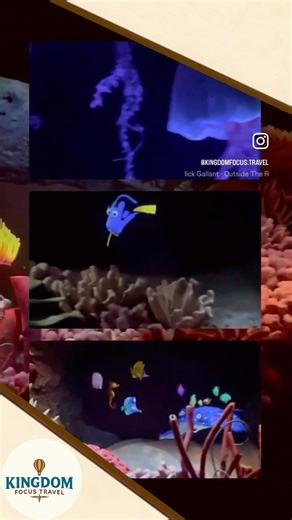 The Seas with Nemo & Friends – EPCOT 🌊🐠