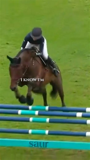 Forever ❤️‍🔥❤️‍🔥 #horse #equestrianjourney #equestrian #pov #sansansehorhorse #cheval #showjumping