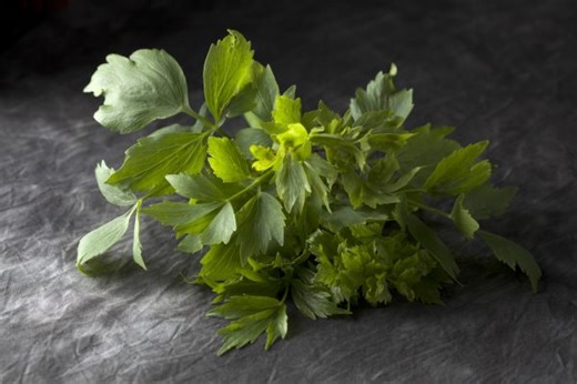 How to grow lovage — and the reasons why you'd want to bother