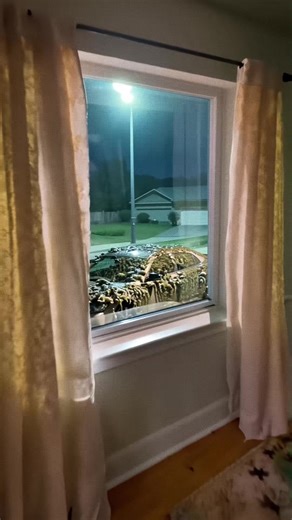 Sorry I won’t be coming in today #weirdcore #creatures #weirdpets