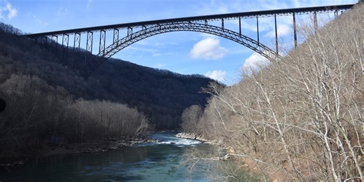 Department of Forestry announces change to fall foliage predictions