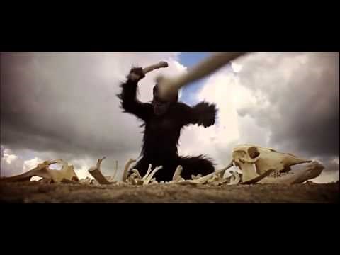 2001: A Space Odyssey monkey scene