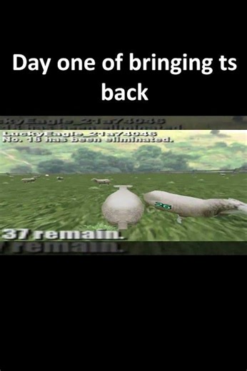 Bring back crazy cattle #crazycattle #bringbackcrazycattle #memes