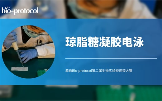 【短视频大赛】琼脂糖凝胶电泳