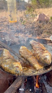 Outdoor fish fry pan 🤪🤪 #reelsvideoシ #village #jhansi | Deshi masala cooking