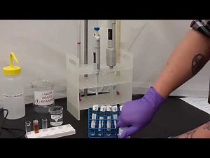 163_lab2_Equilibrium part 1 5 bit