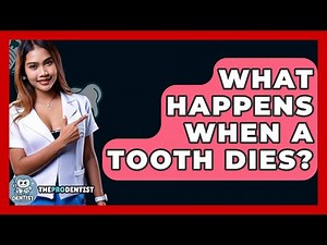 What Happens When A Tooth Dies? - The Pro Dentist