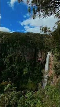Hidden Waterfall in Springbrook National Park 🌿💧 | Purling Brook Falls