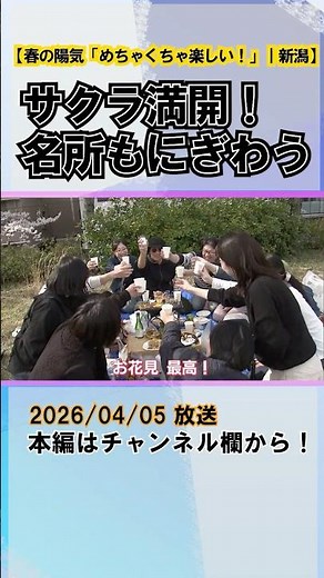 「めちゃくちゃ楽しい！」春の陽気 サクラは満開！ 新潟市の名所 家族連れなどでにぎわう
