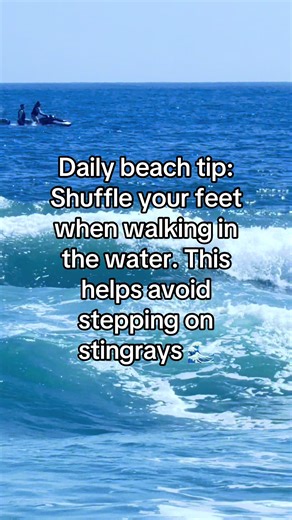 Daily beach tip: Shuffle your feet when walking in the water. This helps avoid stepping on stingrays 🌊 #springbreak #beachlife #stingray #emeraldcoast