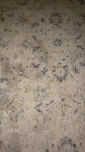 Dog Teased About Cat Eating - Funny Video