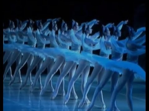 La Bayadère - Kingdom of the Shades - Paris Opera Ballet
