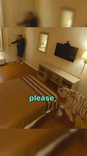Sal and TIGER in one Room! 😱 - #impracticaljokers #lol #shorts