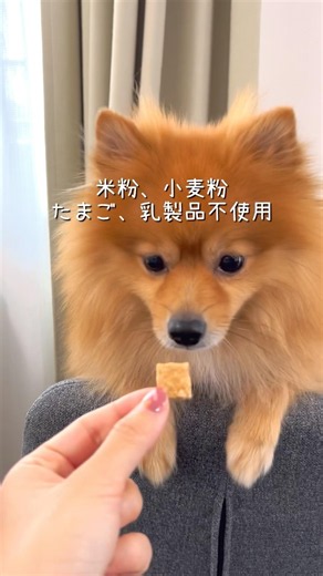 無添加きな粉クッキー