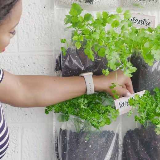 3.9M views · 15K reactions | Got an empty wall? You've got a garden. | HGTV | Facebook