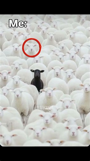 And I'm not very proud of it😔😂..... #MOBA55GoldenMonth #MOBA55Creator #moba55creator #fypシ